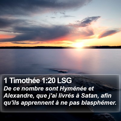 1 Timothée 1:20 LSG Bible Verse Image