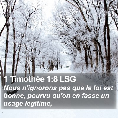 1 Timothée 1:8 LSG Bible Verse Image
