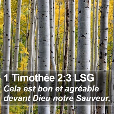 1 Timothée 2:3 LSG Bible Verse Image