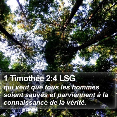 1 Timothée 2:4 LSG Bible Verse Image