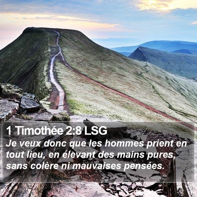 1 Timothée 2:8 LSG Bible Verse Image