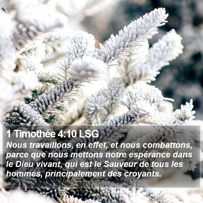1 Timothée 4:10 LSG Bible Verse Image