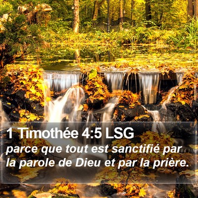 1 Timothée 4:5 LSG Bible Verse Image