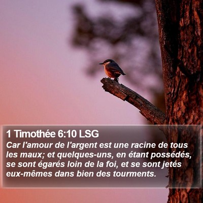 1 Timothée 6:10 LSG Bible Verse Image