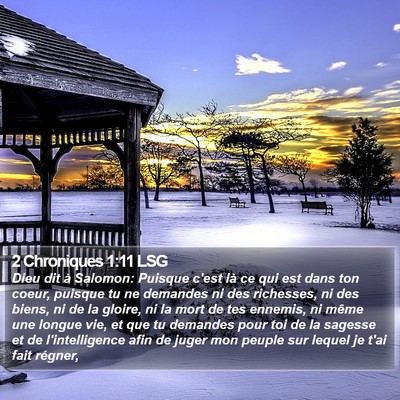 2 Chroniques 1:11 LSG Bible Verse Image
