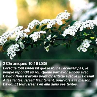 2 Chroniques 10:16 LSG Bible Verse Image