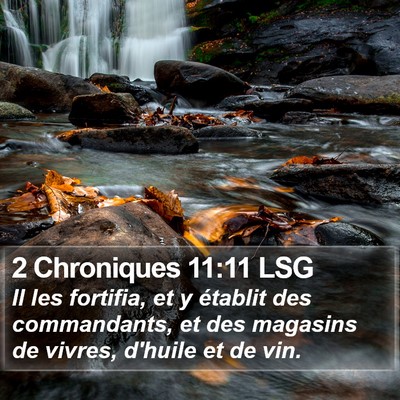 2 Chroniques 11:11 LSG Bible Verse Image