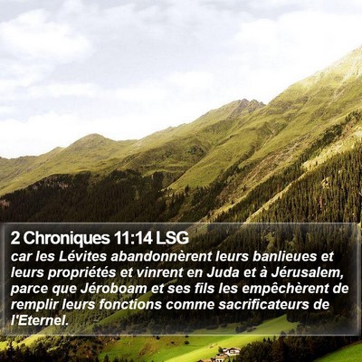 2 Chroniques 11:14 LSG Bible Verse Image