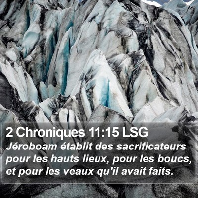 2 Chroniques 11:15 LSG Bible Verse Image