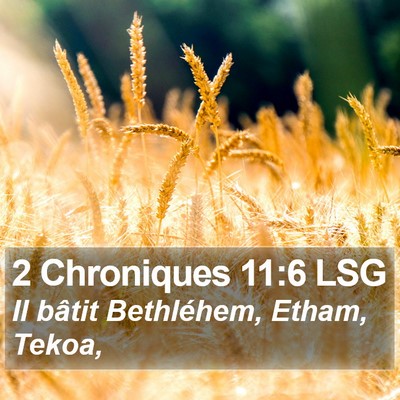 2 Chroniques 11:6 LSG Bible Verse Image