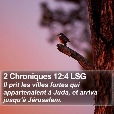 2 Chroniques 12:4 LSG Bible Verse Image