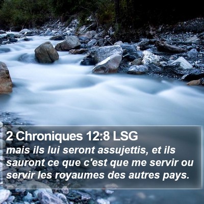 2 Chroniques 12:8 LSG Bible Verse Image