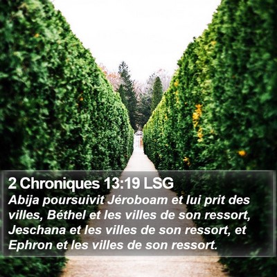 2 Chroniques 13:19 LSG Bible Verse Image