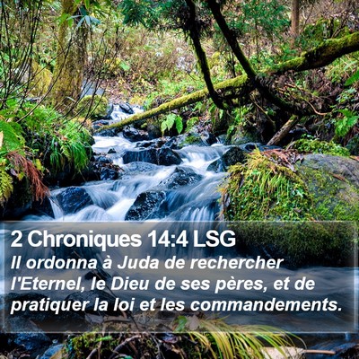 2 Chroniques 14:4 LSG Bible Verse Image