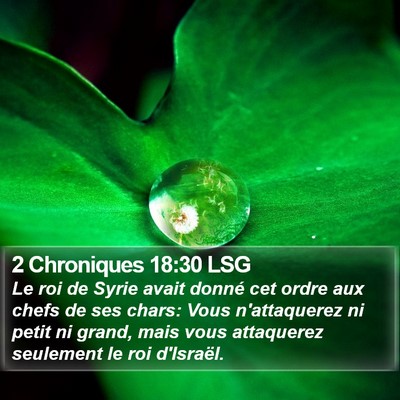 2 Chroniques 18:30 LSG Bible Verse Image