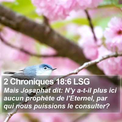2 Chroniques 18:6 LSG Bible Verse Image