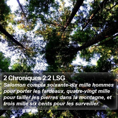 2 Chroniques 2:2 LSG Bible Verse Image