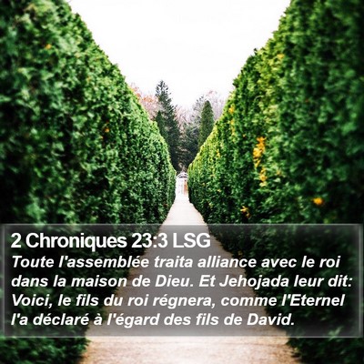 2 Chroniques 23:3 LSG Bible Verse Image