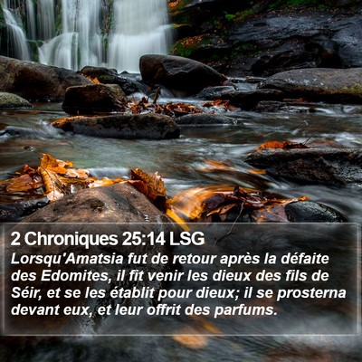 2 Chroniques 25:14 LSG Bible Verse Image