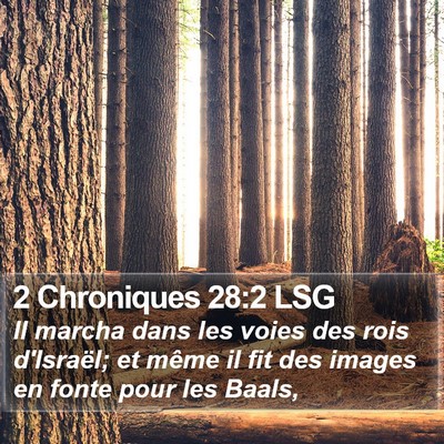 2 Chroniques 28:2 LSG Bible Verse Image