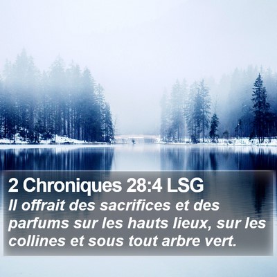 2 Chroniques 28:4 LSG Bible Verse Image
