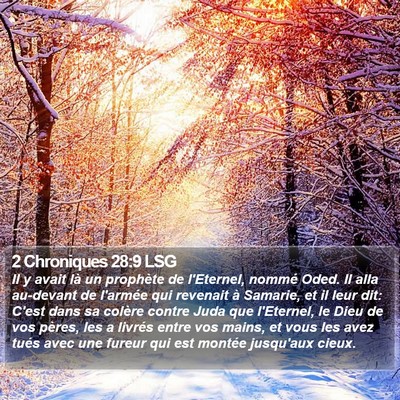 2 Chroniques 28:9 LSG Bible Verse Image