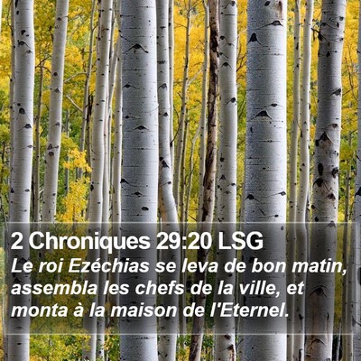 2 Chroniques 29:20 LSG Bible Verse Image