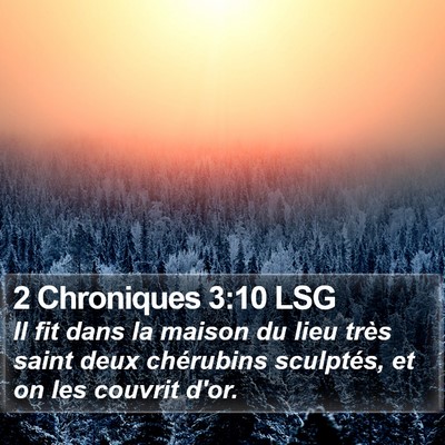 2 Chroniques 3:10 LSG Bible Verse Image