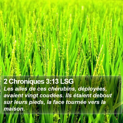 2 Chroniques 3:13 LSG Bible Verse Image