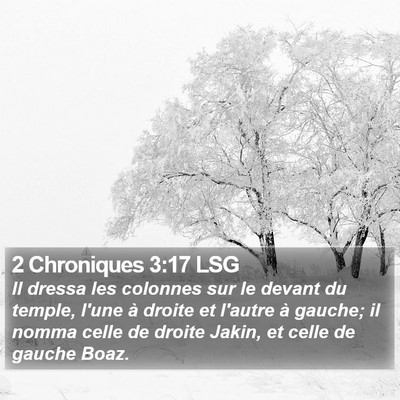2 Chroniques 3:17 LSG Bible Verse Image