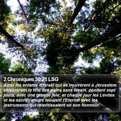2 Chroniques 30:21 LSG Bible Verse Image