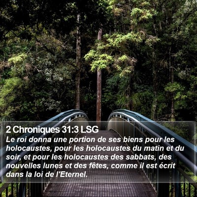 2 Chroniques 31:3 LSG Bible Verse Image