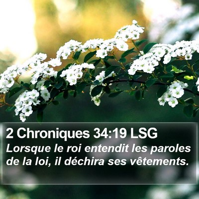 2 Chroniques 34:19 LSG Bible Verse Image