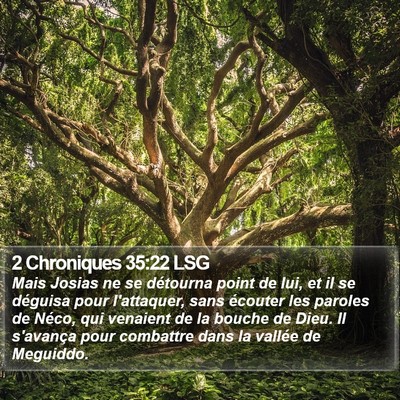 2 Chroniques 35:22 LSG Bible Verse Image