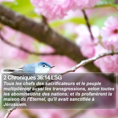 2 Chroniques 36:14 LSG Bible Verse Image