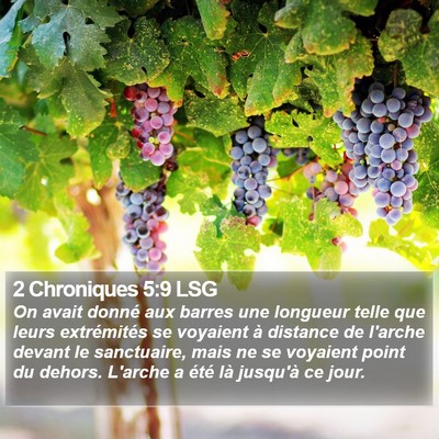 2 Chroniques 5:9 LSG Bible Verse Image
