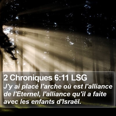 2 Chroniques 6:11 LSG Bible Verse Image