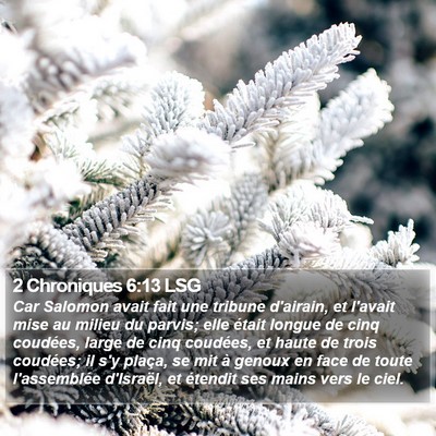2 Chroniques 6:13 LSG Bible Verse Image