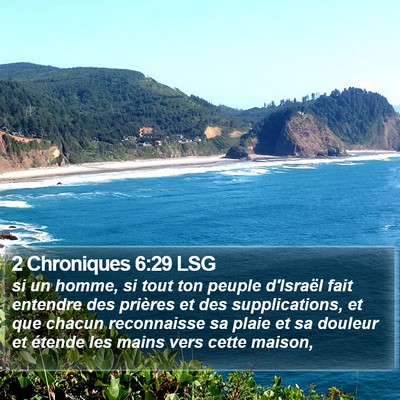 2 Chroniques 6:29 LSG Bible Verse Image