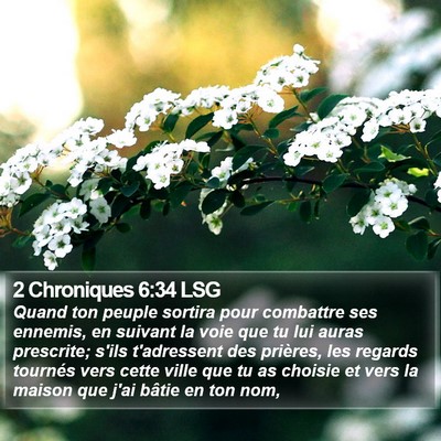 2 Chroniques 6:34 LSG Bible Verse Image