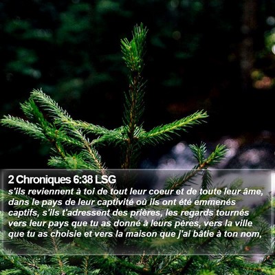 2 Chroniques 6:38 LSG Bible Verse Image