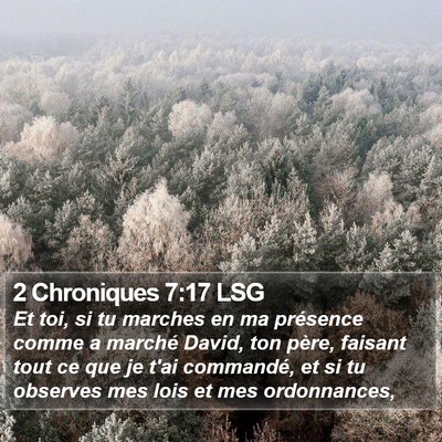 2 Chroniques 7:17 LSG Bible Verse Image