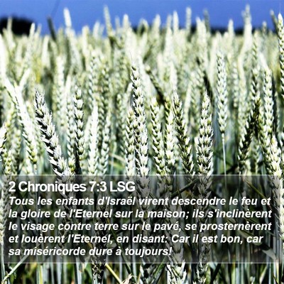 2 Chroniques 7:3 LSG Bible Verse Image