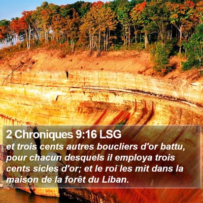 2 Chroniques 9:16 LSG Bible Verse Image