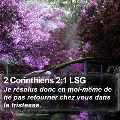 2 Corinthiens 2:1 LSG Bible Verse Image