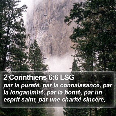 2 Corinthiens 6:6 LSG Bible Verse Image