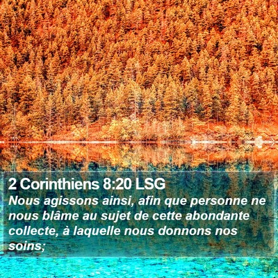 2 Corinthiens 8:20 LSG Bible Verse Image