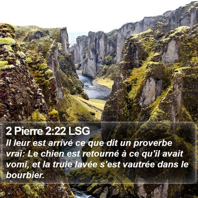 2 Pierre 2:22 LSG Bible Verse Image