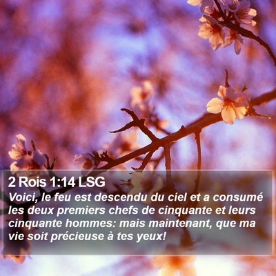 2 Rois 1:14 LSG Bible Verse Image