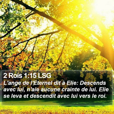 2 Rois 1:15 LSG Bible Verse Image